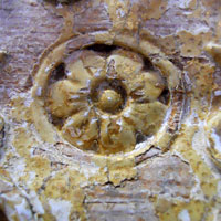 Object in need of conservationder image